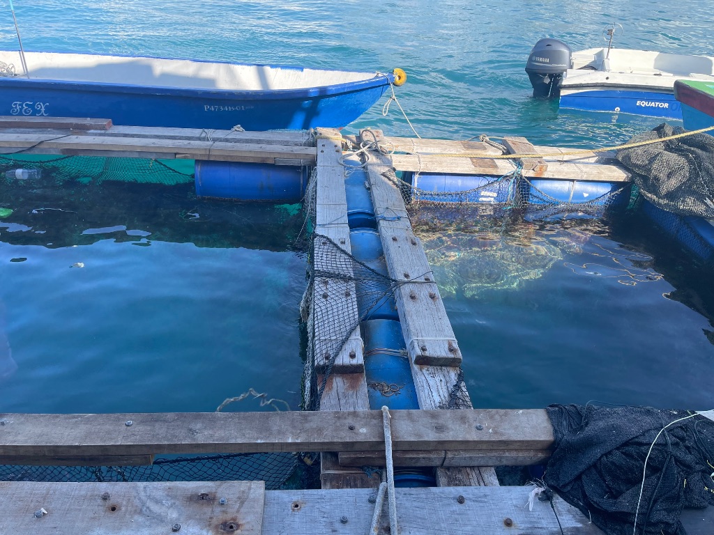 Sustainable Fishing Fleet